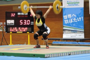 大景S53