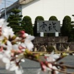 校訓碑も春らしくなりました