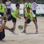 RIMG0679s