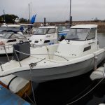 DSCN8836