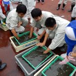 DSCN8908