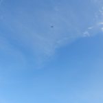 DSCN2481