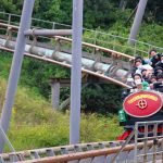 IMG_0490 (1)