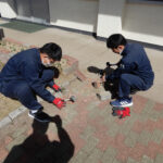 DSCN6482