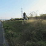0930_kusakari