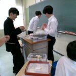 IMG_20240626_140825