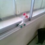 IMG_20240626_152016